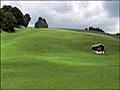 La Vallée de Joux (Suisse)