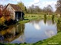 Cabane