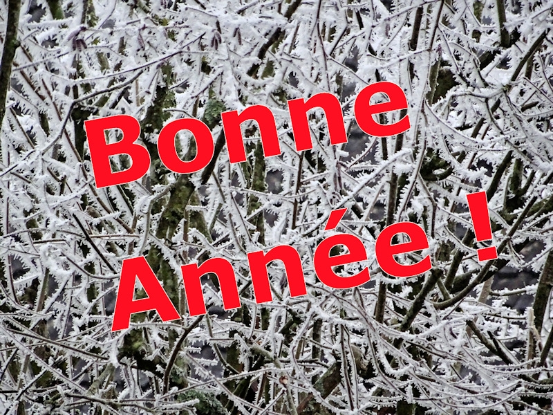 Bonne année