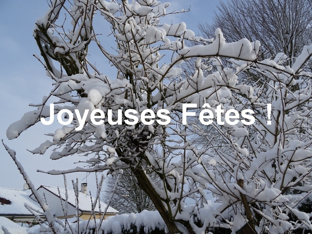 Joyeuses Fêtes