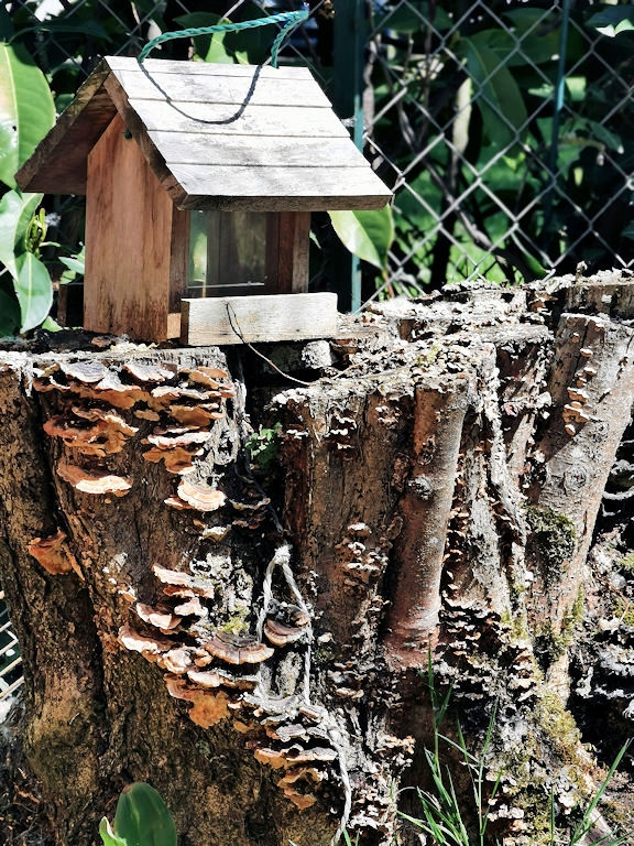 Cabane au bord de l'abîme