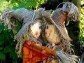 Joyeuse Saint Valentin !
