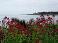 Bénodet (Finistère)