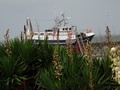 Bateau bucolique