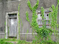 Masure abandonnée