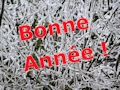 Bonne Année !