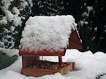 Mangeoire sous la neige