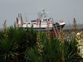 Un bateau dans les champs !