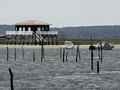 Cabane Tchanquee - Bassin d'Arcachon