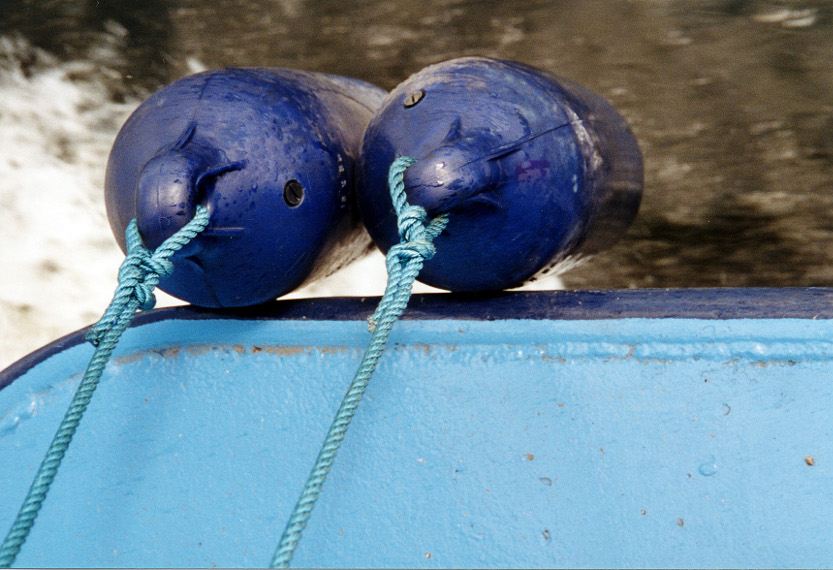 Colorisme : bleu