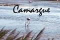 La Camargue