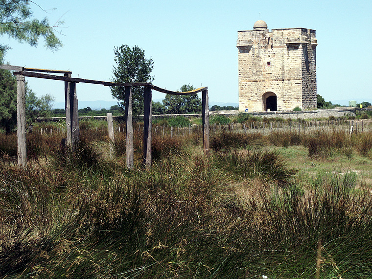 Tour Carbonnière - Camargue