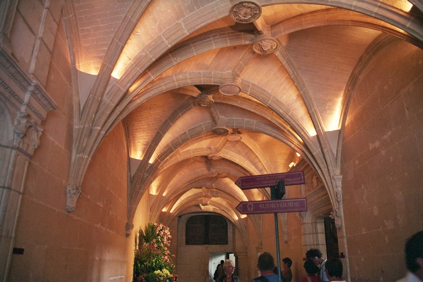 Le château de Chenonceau - Plafond