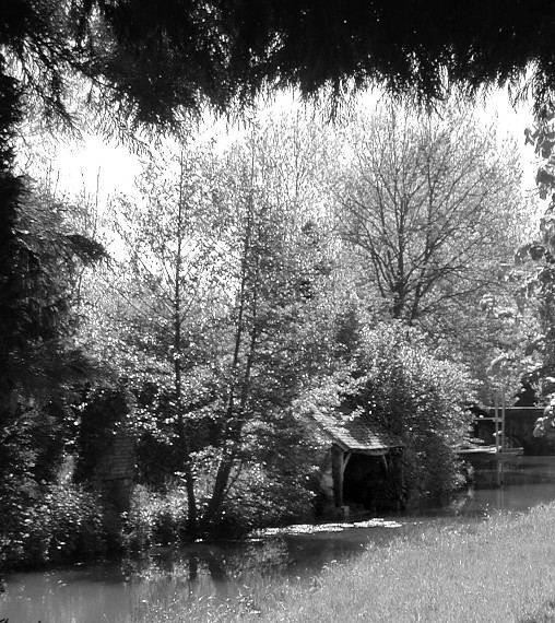 Lavoir dans la haie