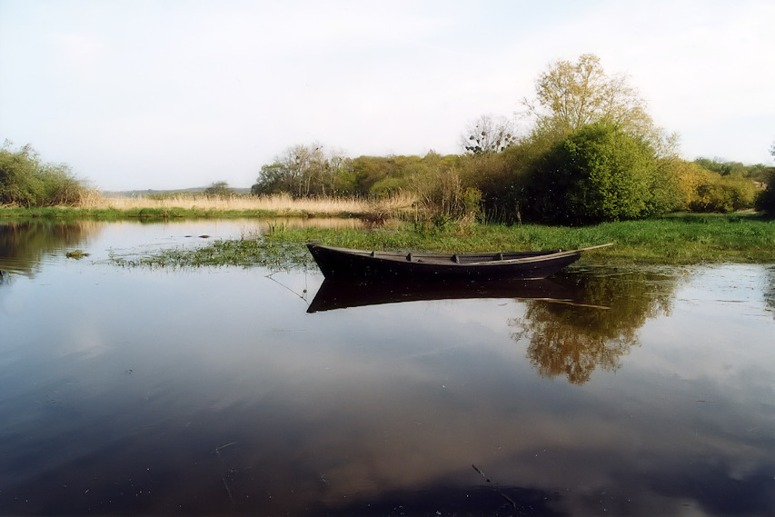 Barque (lac de Grandlieu)