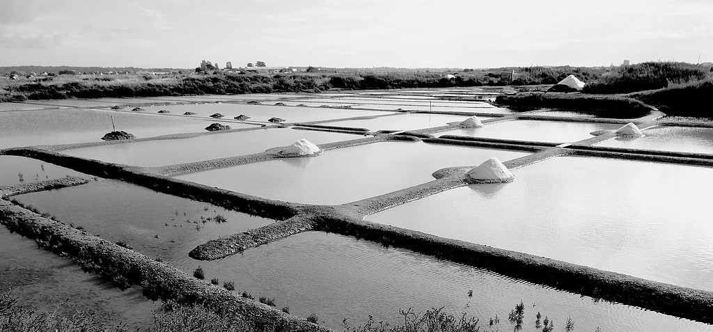 Les marais salants de Guérande