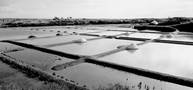 Marais salants