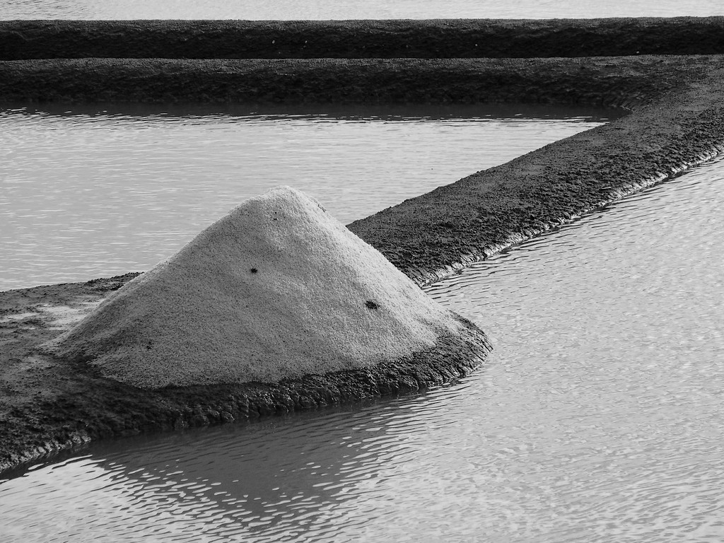 Récolte de sel à Guérande