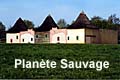 Planète Sauvage