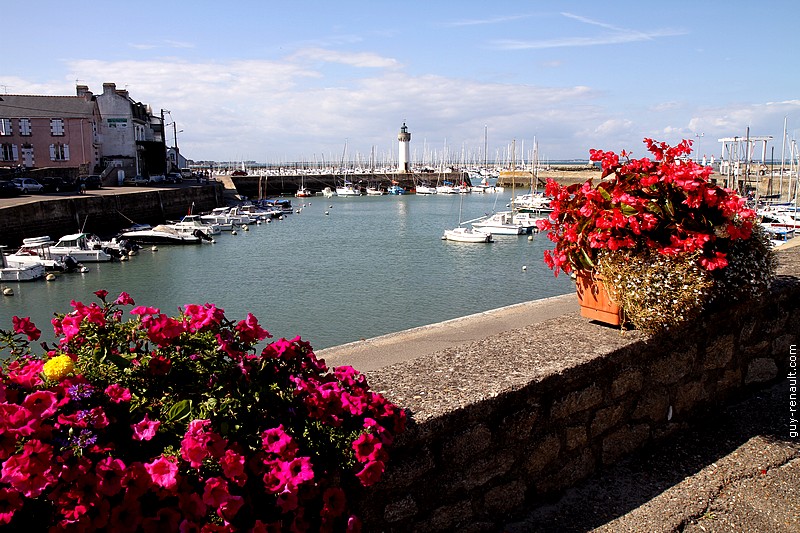 Quiberon - Port Haliguen