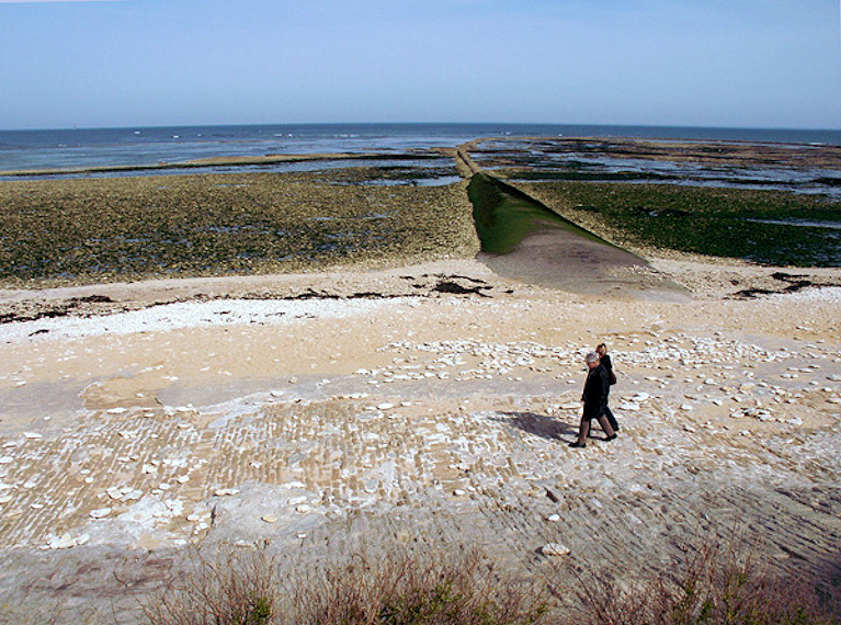 La Conche des baleines - Île de Ré