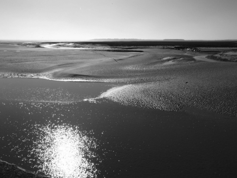 Baie de Somme