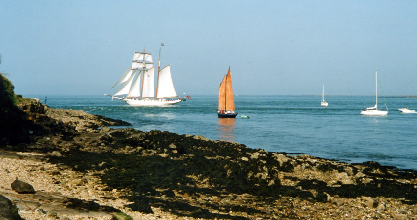 Les Vieux Gréements dans le Morbihan