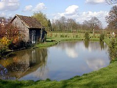 Cabane au bord de l'eau