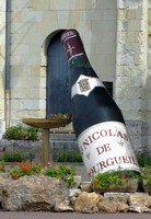 Bouteille de Saint Nicolas de Bourgueil